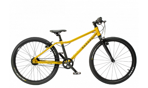 Rascal 24 Gold 