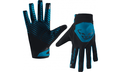 Dynafit Radical 2 Softshell gloves Reef