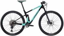 Bianchi Methanol CV FS FS 9.3