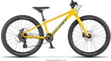 Beany Blaster XC 24 gold