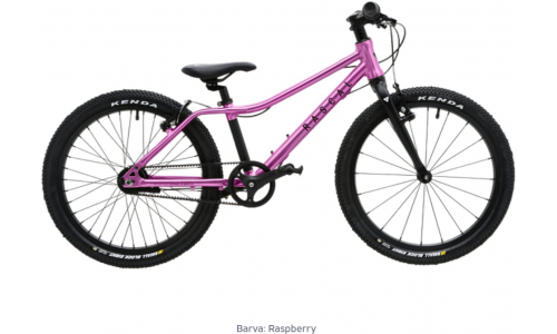 Rascal 20 Raspberry