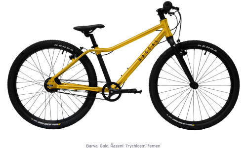 Rascal 24 Gold 7sp Nexus